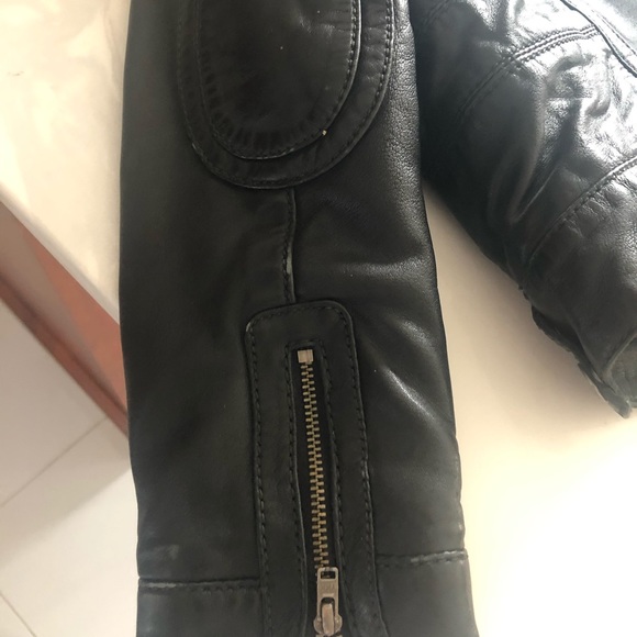 Designer Roberto cavalli - Picture 4 of 4